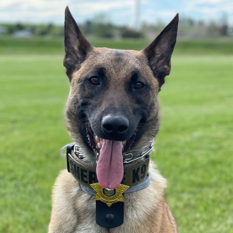 Sheriff-K9 Unit - Rosebud CountyRosebud County